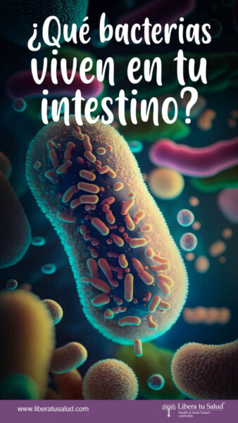 Qué bacterias viven en tu intestino PORTADA